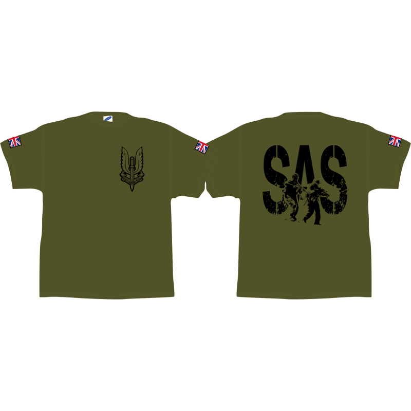 SAS 1